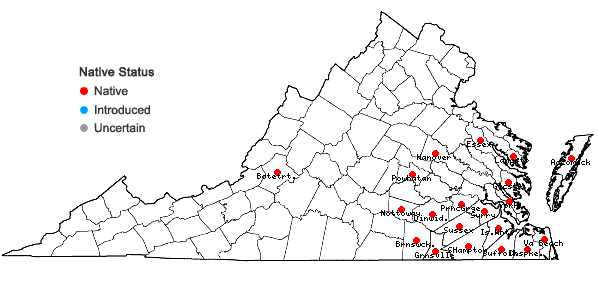 Locations ofEleocharis microcarpa Torrey var. filiculmis Torrey in Virginia