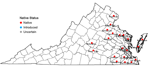 Locations ofEleocharis olivacea Torrey var. olivacea in Virginia