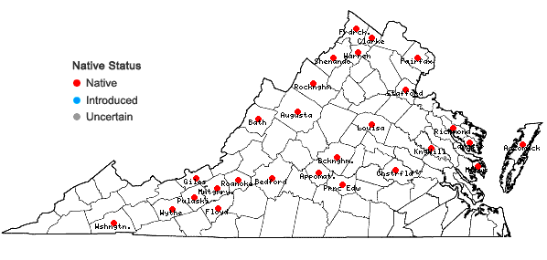 Locations ofEleocharis palustris (L.) Roemer & Schultes in Virginia