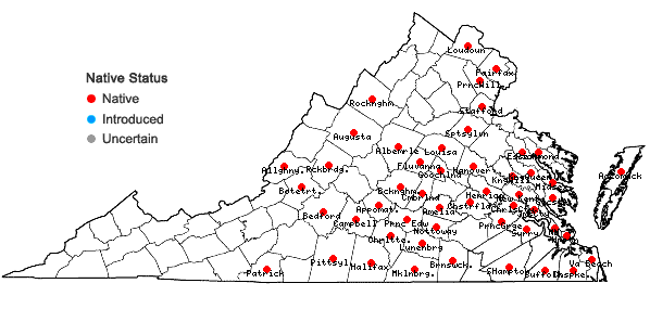 Locations ofEleocharis quadrangulata (Michaux) R. & S. in Virginia