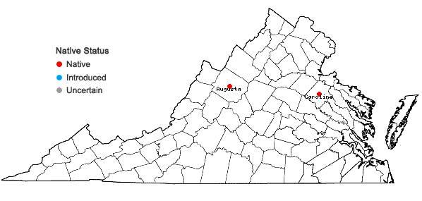 Locations ofEleocharis robbinsii Oakes in Virginia