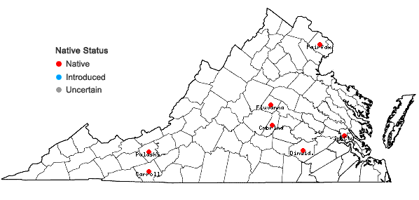 Locations ofEleocharis tenuis (Willd.) Schultes var. pseudoptera (Weath.) Svens. in Virginia