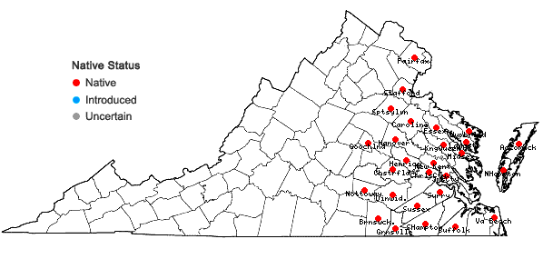 Locations ofEleocharis tortilis (Link) Schultes in Virginia