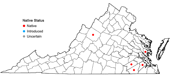 Locations ofEleocharis tricostata Torrey in Virginia