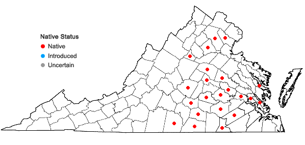 Locations ofEleocharis verrucosa (Svens.) Harms in Virginia