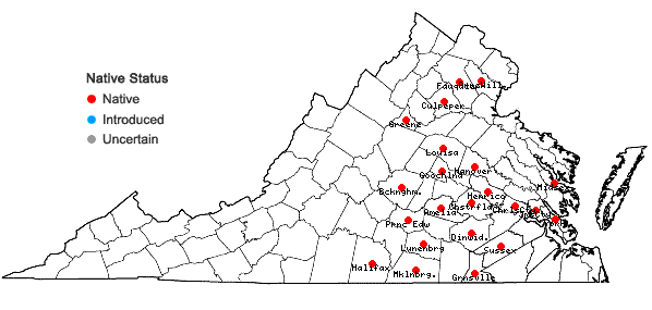 Locations ofEleocharis verrucosa (Svens.) Harms in Virginia