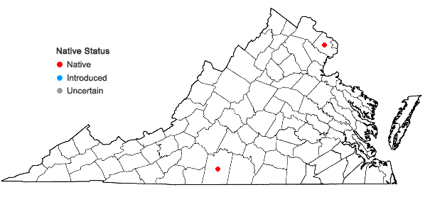 Locations ofEleocharis wolfii (Gray) Gray ex Britt. in H.N. Patterson in Virginia