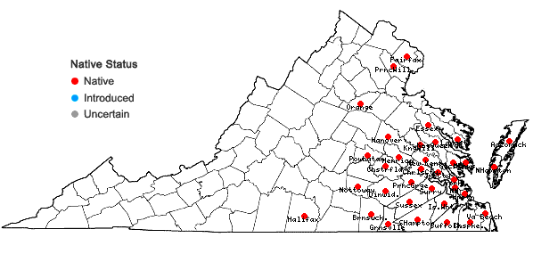 Locations ofElephantopus nudatus Gray in Virginia
