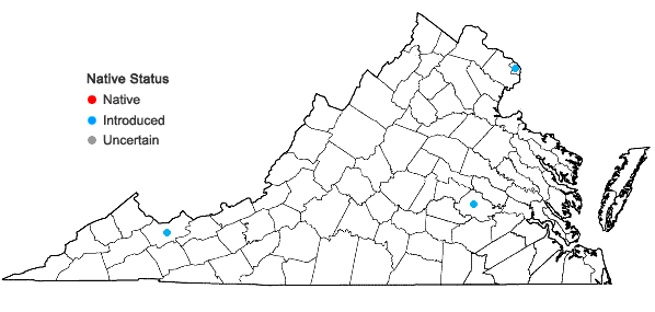 Locations ofEleutherococcus sieboldianus (Makino) Koidz. in Virginia