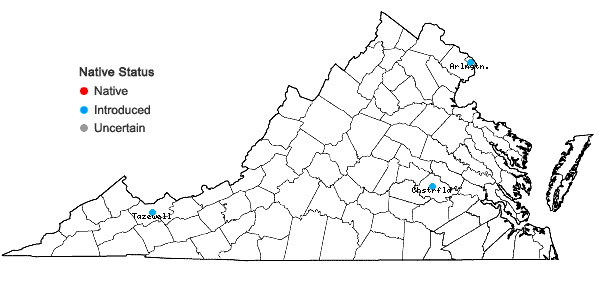 Locations ofEleutherococcus sieboldianus (Makino) Koidz. in Virginia