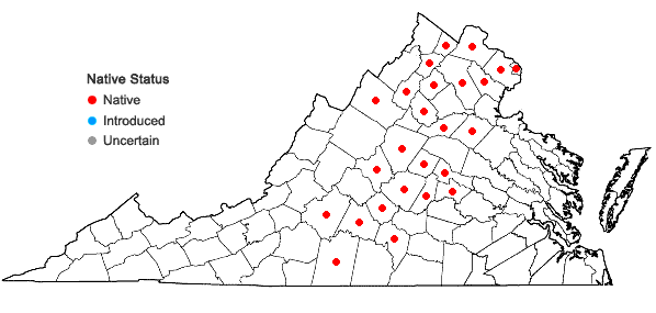 Locations ofEllisia nyctelea (L.) L. in Virginia