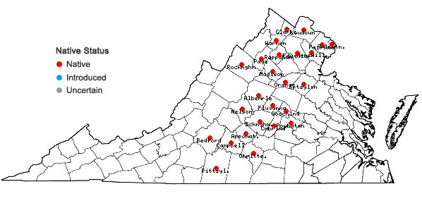 Locations ofEllisia nyctelea (L.) L. in Virginia