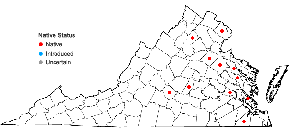 Locations ofElodium paludosum Austin in Virginia