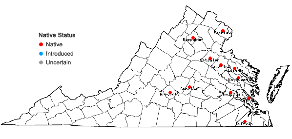 Locations ofElodium paludosum Austin in Virginia