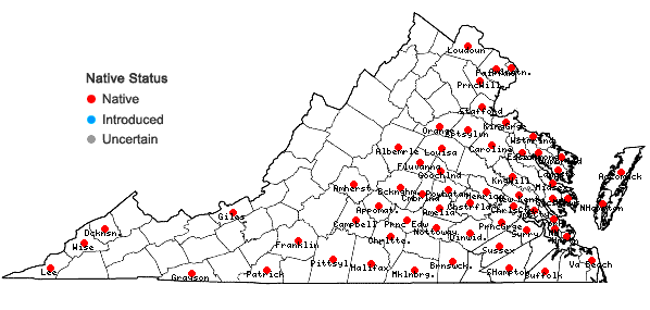 Locations ofElymus glabriflorus (Vasey ex L.H. Dewey) Scribn. & C.R. Ball in Virginia