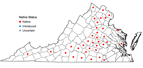Locations ofElymus hystrix L. var. piedmontanus Poindexter & Weakley in Virginia