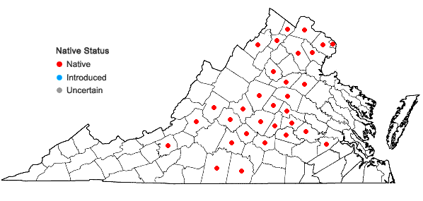 Locations ofElymus macgregorii Brooks & Campbell in Virginia