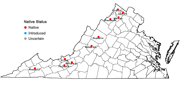 Locations ofEndotropis lanceolata (Pursh) Hauensch. in Virginia