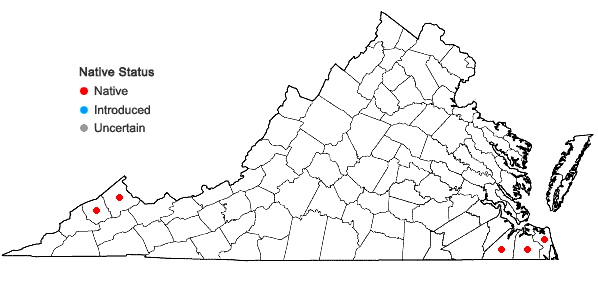 Locations ofEntodon macropodus (Hedw.) Müll. Hal. in Virginia