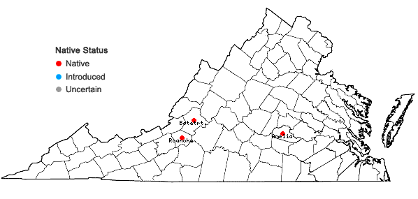 Locations ofEphemerum crassinervium (Schwägr.) Hampe var. crassinervium in Virginia