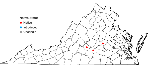 Locations ofEphemerum serratum (Schreb. ex Hedw.) Hampe in Virginia
