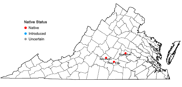 Locations ofEphemerum serratum (Schreb. ex Hedw.) Hampe in Virginia
