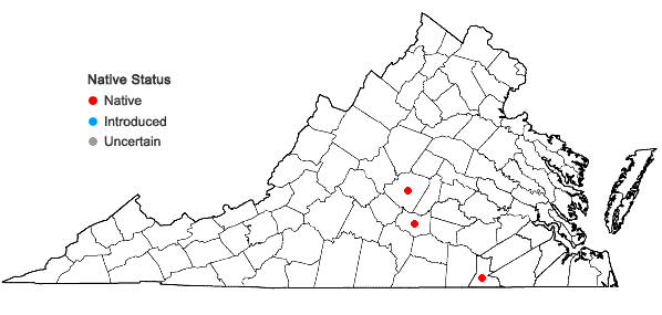 Locations ofEphemerum spinulosum Bruch & Schimper in Virginia