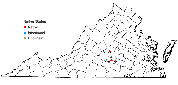 Locations ofEphemerum spinulosum Bruch & Schimper in Virginia