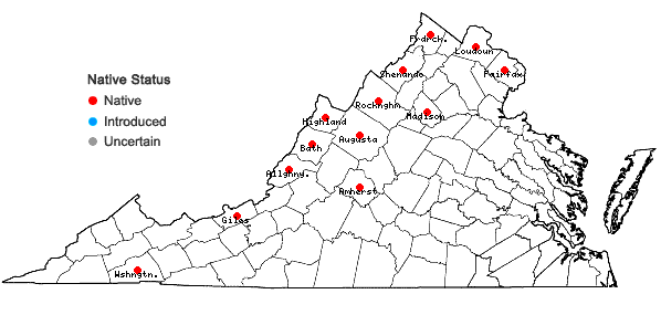 Locations ofEpilobium ciliatum Raf. ssp. ciliatum in Virginia