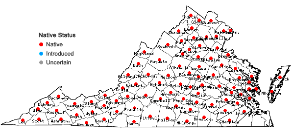 Locations ofEpilobium coloratum Biehler in Virginia