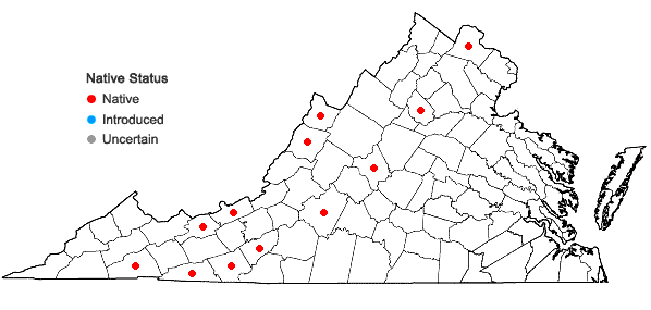 Locations ofEpilobium leptophyllum Raf. in Virginia