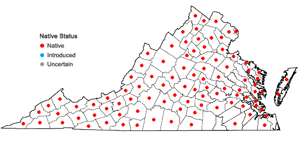 Locations ofEquisetum arvense L. in Virginia