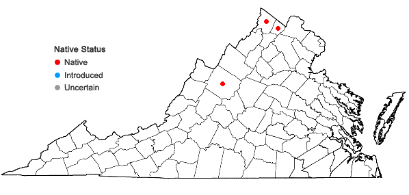 Locations ofEquisetum fluviatile L. in Virginia