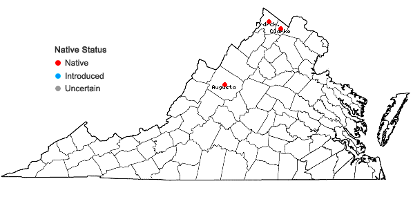 Locations ofEquisetum fluviatile L. in Virginia