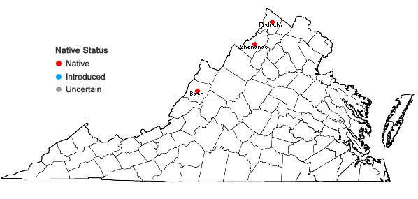 Locations ofEquisetum sylvaticum L. in Virginia