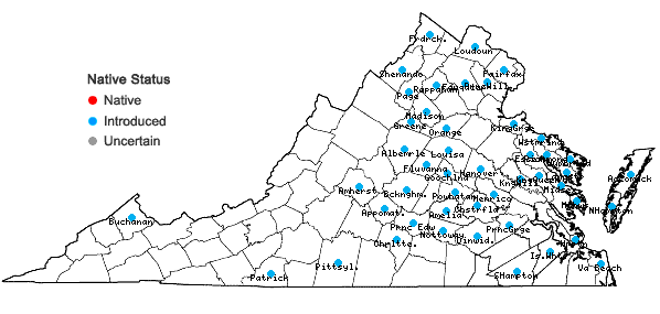 Locations ofEragrostis curvula (Schrad.) Nees in Virginia