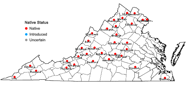 Locations ofEragrostis frankii C.A. Mey. ex Steud. in Virginia