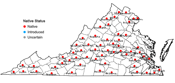 Locations ofEragrostis hypnoides (Lam.) B.S.P. in Virginia