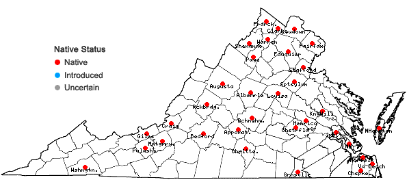 Locations ofEragrostis pectinacea (Michx.) Nees var. pectinacea in Virginia