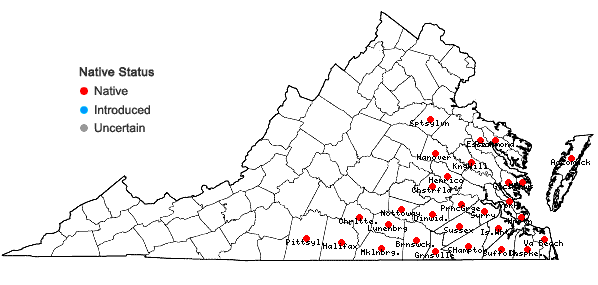 Locations ofEragrostis refracta (Muhl.) Scribn. in Virginia