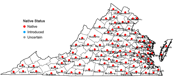 Locations ofEragrostis spectabilis (Pursh) Steud. in Virginia