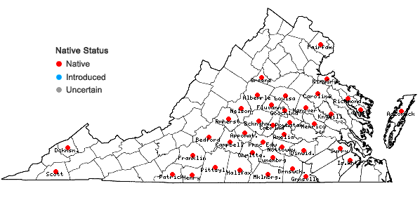 Locations ofErianthus alopecuroides (L.) Ell. in Virginia