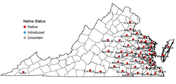 Locations ofErianthus brevibarbis Michx. var. contortus (Ell.) D.B. Ward in Virginia