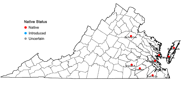 Locations ofErianthus coarctatus Fernald in Virginia