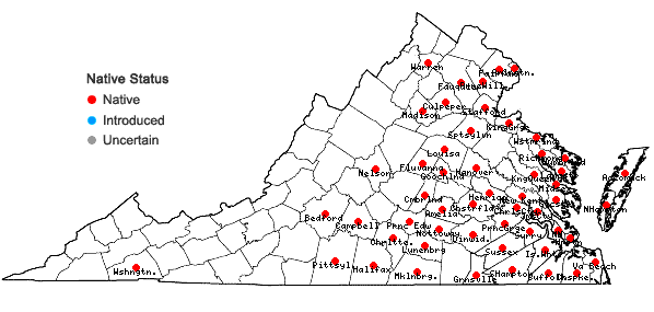 Locations ofErianthus giganteus (Walt.) P. Beauv. in Virginia