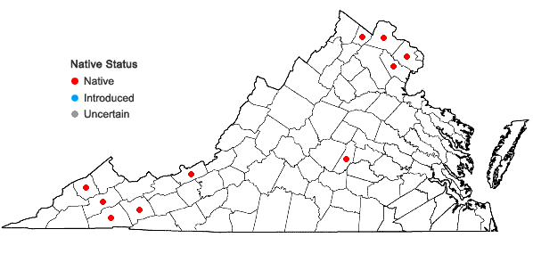 Locations ofErigenia bulbosa (Michx.) Nutt. in Virginia