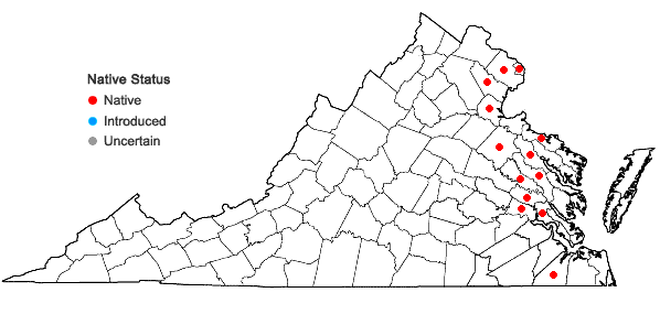 Locations ofEriocaulon parkeri B.L.Robinson in Virginia