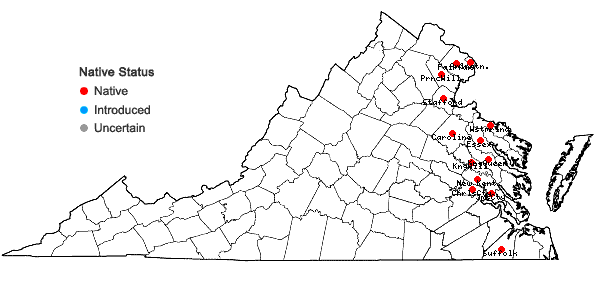 Locations ofEriocaulon parkeri B.L.Robinson in Virginia