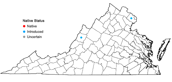 Locations ofEriochloa villosa  (Thunb.) Kunth in Virginia