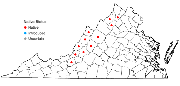 Locations ofEriogonum allenii S. Wats. in A. Gray et al. in Virginia
